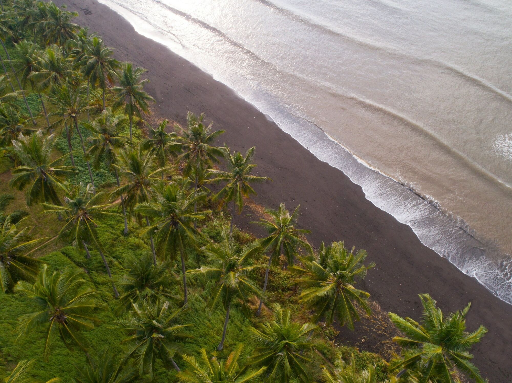 Dialoog Banyuwangi Hotel Banyuwangi  Kültér fotó